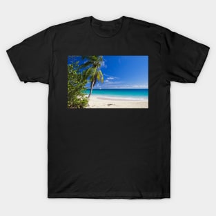 Caribbean Beach With Palm T-Shirt